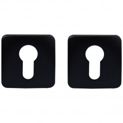 Накладка под цилиндр Colombo Design Rosetta OneQ CC23 титан 2 шт